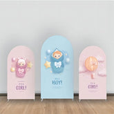 Rosa Und Blau Baby Geschlecht Aufdecken Bogen Hintergrund Bausatz